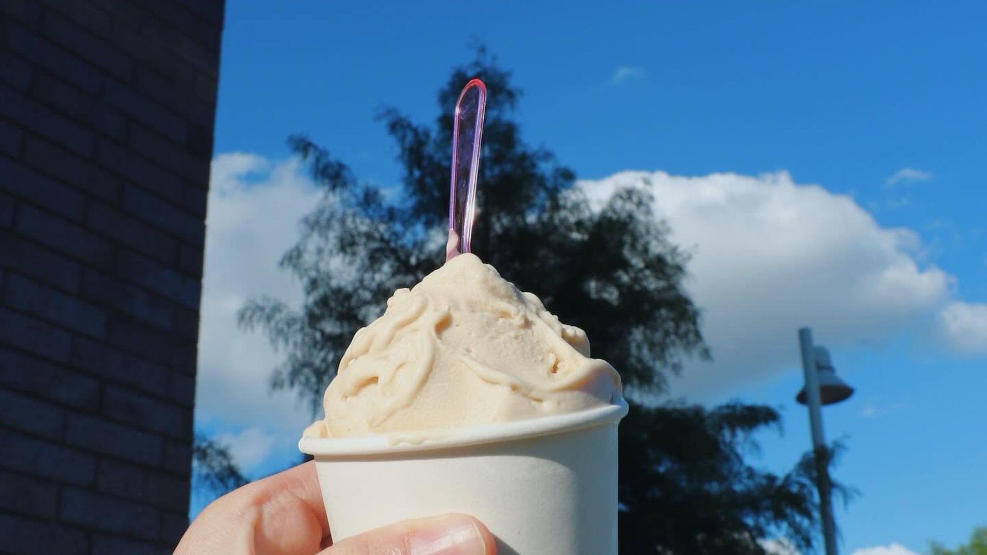 House-churned gelato, made fresh daily